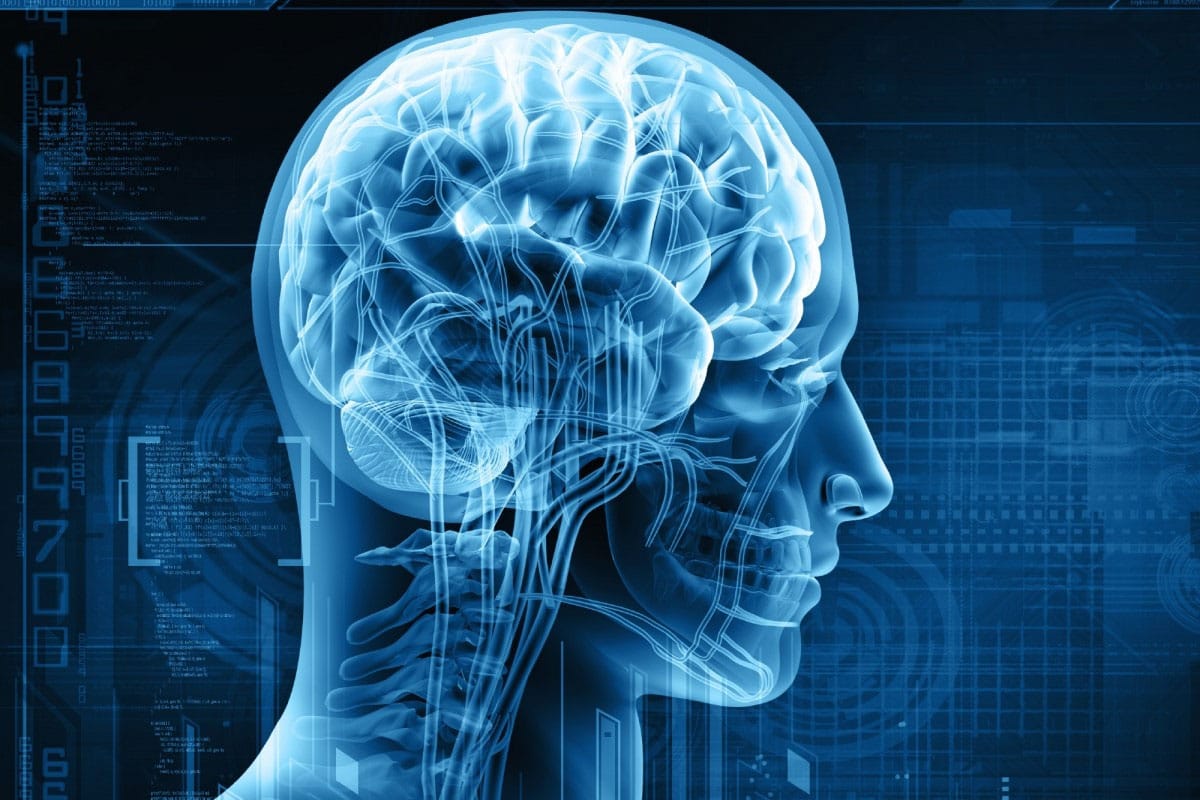 Brain & Nerve Health