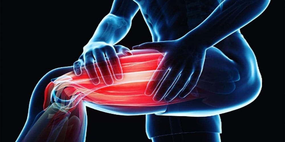 Bone, Joint & Muscle Health