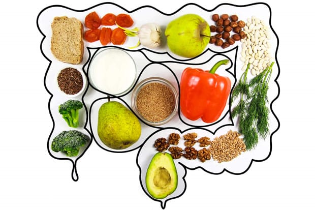 Digestive Health